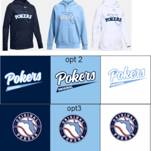 Women's UA Icon Fleece Hoody