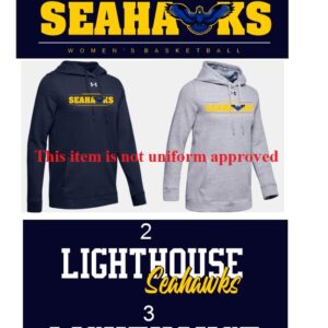 Women's UA Hustle Fleece Hoody