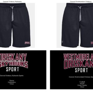 Men's UA 9" Mesh Pocketed Shorts (Black)