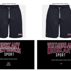 Men's UA 9" Mesh Pocketed Shorts (Black)