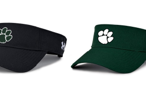 UA Visor (One Size Fits Most)